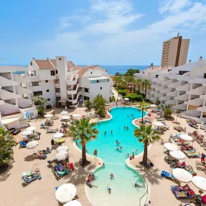 Paloma Los Cristianos (Tenerife)